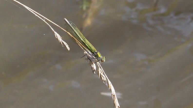 P7244809