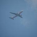 P5201845